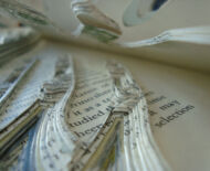 Artwork: Emergence (detail), 2010 by artist Emma Lloyd, Sculpted books
