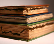 Artwork: Evolution Triptych (detail), 2004 by artist Emma Lloyd, Sculpted books