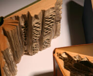 Artwork: Evolution Triptych (detail), 2004 by artist Emma Lloyd, Sculpted books