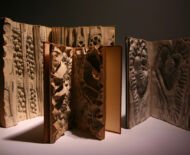 Artwork: Evolution Triptych, 2004 by artist Emma Lloyd, Sculpted books