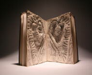 Artwork: Evolution Triptych (Part I - detail), 2004 by artist Emma Lloyd, Sculpted book