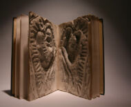 Artwork: Evolution Triptych (Part I - detail), 2004 by artist Emma Lloyd, Sculpted book