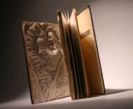 Artwork: Evolution Triptych (Part I - detail), 2004 by artist Emma Lloyd, Sculpted book