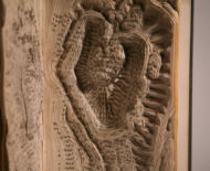 Artwork: Evolution Triptych (Part I - detail), 2004 by artist Emma Lloyd, Sculpted book