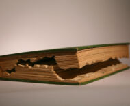 Artwork: Evolution Triptych (Part II - detail), 2004 by artist Emma Lloyd, Sculpted book
