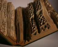 Artwork: Evolution Triptych (Part II - detail), 2004 by artist Emma Lloyd, Sculpted book