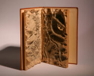Artwork: Evolution Triptych (Part III - detail), 2004 by artist Emma Lloyd, Sculpted book