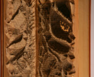 Artwork: Evolution Triptych (Part III - detail), 2004 by artist Emma Lloyd, Sculpted book