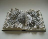 Artwork: Lowson's Textbook Erosion, 2009 by artist Emma Lloyd, Sculpted book