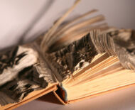 Artwork: Origin of Man (detail), 2004 by artist Emma Lloyd, Sculpted book