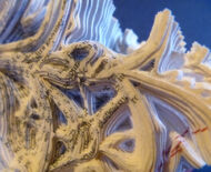 Artwork: Sonetti (detail), 2014 by artist Emma Lloyd, Sculpted book