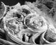 Artwork: Sonetti (detail), 2014 by artist Emma Lloyd, Sculpted book