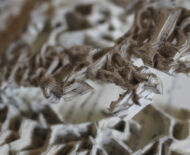 Artwork: Between and Beyond (detail), 2017 by artist Emma Lloyd, Sculpted book