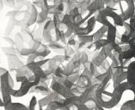 Artwork: Arial (detail) - Rawnesser and Glissemo Project, 2015 by artist Emma Lloyd, Ball print, graphite and pencil on cartridge paper