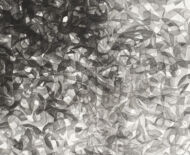 Artwork: Arial (detail) - Rawnesser and Glissemo Project, 2015 by artist Emma Lloyd, Ball print, graphite and pencil on cartridge paper