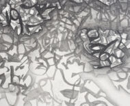 Artwork: Wingdings (detail) - Rawnesser and Glissemo Project, 2015 by artist Emma Lloyd, Ball print, graphite and pencil on cartridge paper