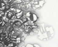 Artwork: Wingdings (detail) - Rawnesser and Glissemo Project, 2015 by artist Emma Lloyd, Ball print, graphite and pencil on cartridge paper
