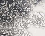 Artwork: Wingdings (detail) - Rawnesser and Glissemo Project, 2015 by artist Emma Lloyd, Ball print, graphite and pencil on cartridge paper