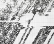 Artwork: Slider (detail), 2017 by artist Emma Lloyd, ball print, pencil and graphite on graph paper