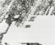 Artwork: Slider (detail), 2017 by artist Emma Lloyd, ball print, pencil and graphite on graph paper