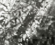 Artwork: Slider (detail), 2017 by artist Emma Lloyd, ball print, pencil and graphite on graph paper
