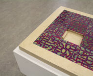 Artwork: Another Way to Think (detail) 2018 by artist Emma Lloyd, CNC cut ply, laser cut Perpex and resin
