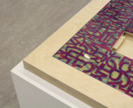 Artwork: Another Way to Think (detail) 2018 by artist Emma Lloyd, CNC cut ply, laser cut Perpex and resin